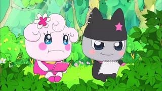 tama (44)