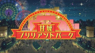 ama13 (10)
