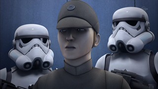 sw (26)