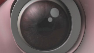 1380012262773