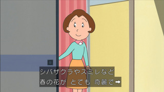 sazae-175