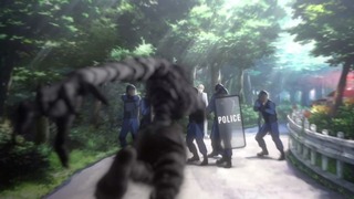 cap (152)