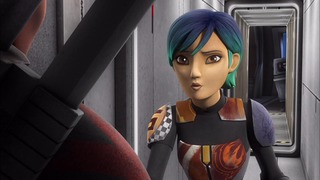 sw (48)