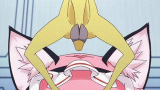 cap (19)