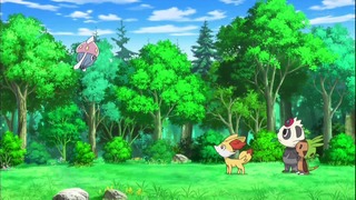 xy49 (124)