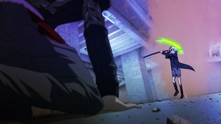 cap (113)
