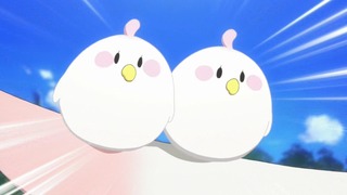 cap (34)