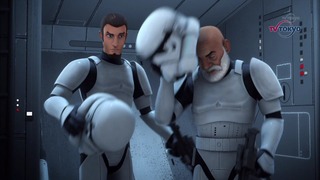 sw (22)