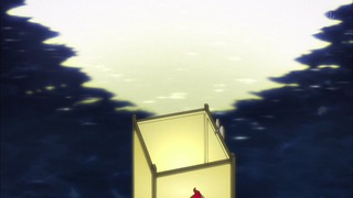kin (12)