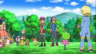 xy49 (51)