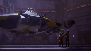 sw (68)