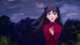 fate-111
