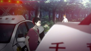 cap (228)