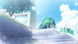 cap (13)