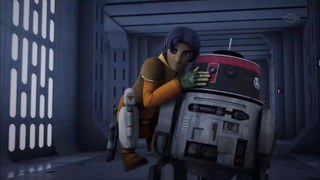 sw (39)