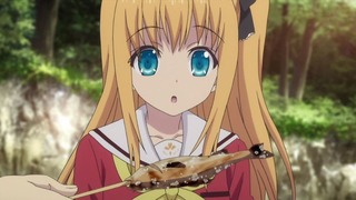 ch-134