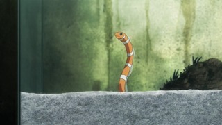 cap (28)