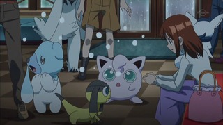 xy (19)