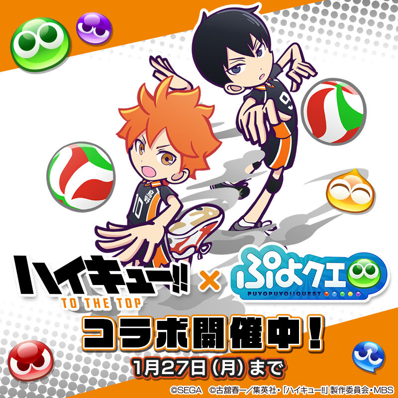 ハイキュー ぷよクエ アニゲーnews ハイキュー ぷよクエ アニゲーnews