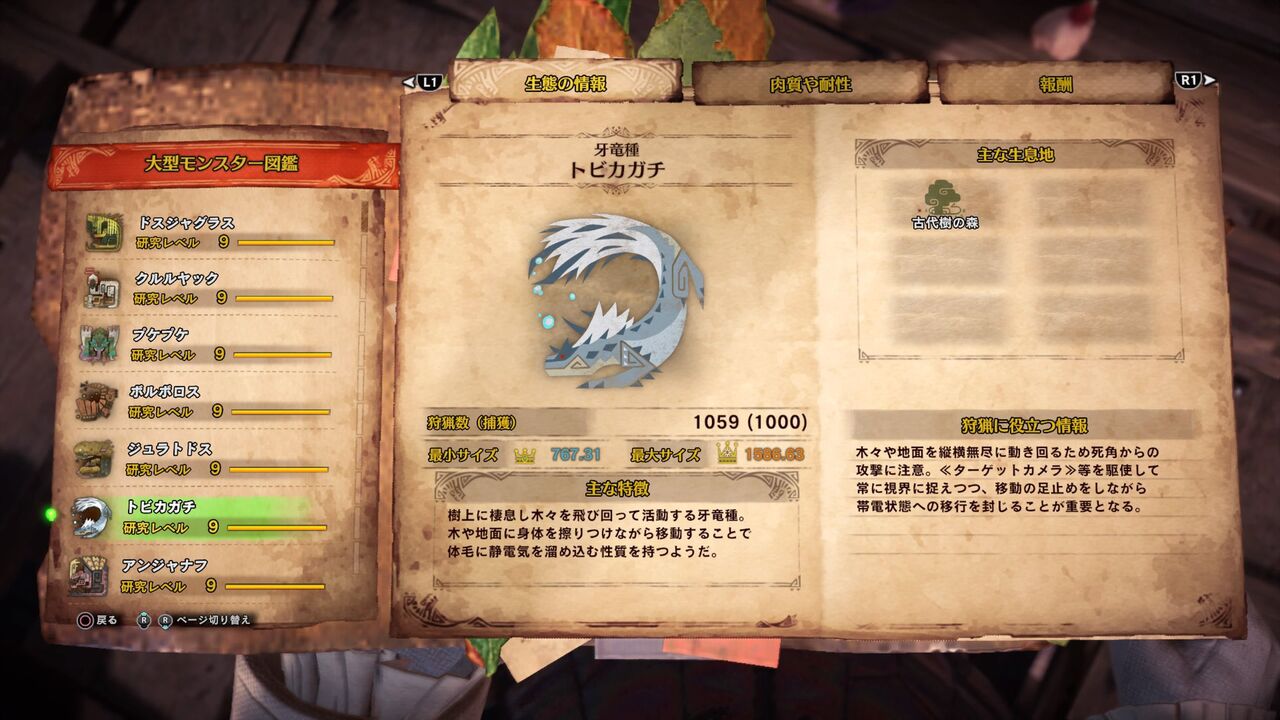 モンハンライズ トビカガチ 討伐方法まとめ くまのゲームまとめブログ