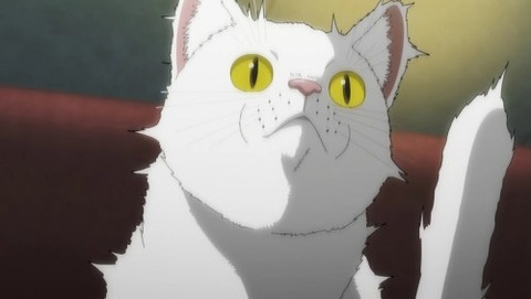 ニャイリビ1−3