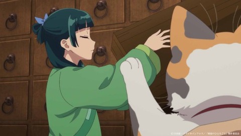 薬屋40−5