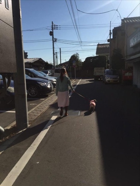動物病院の看護師さんになった成瀬心美さんが可愛い 6