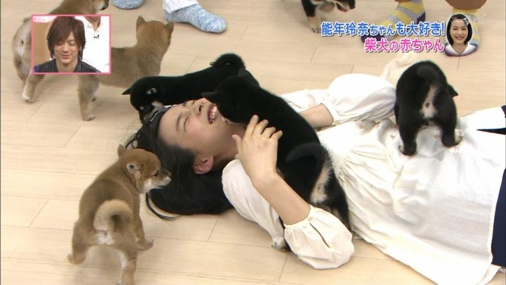 能年玲奈が柴犬の赤ちゃんにペロペロされてるエロ画像　バター犬 5