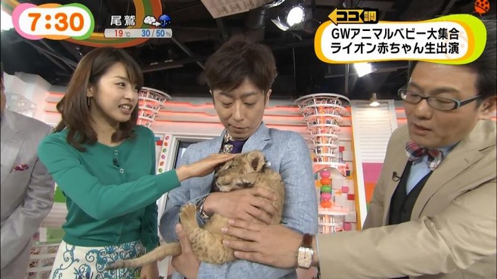 めざましテレビでカトパンの着衣おっぱいがエロい画像30枚 15