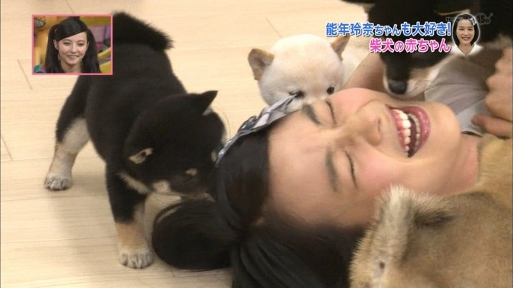 能年玲奈が柴犬の赤ちゃんにペロペロされてるエロ画像　バター犬 19