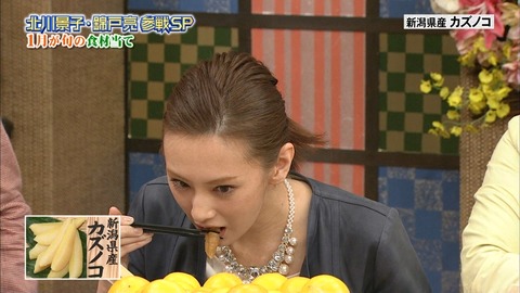 北川景子がパンチラしてるGIF画像 12