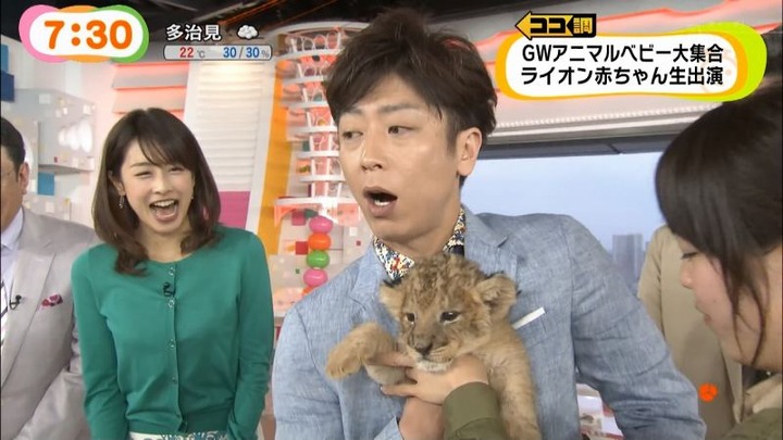 めざましテレビでカトパンの着衣おっぱいがエロい画像30枚 14