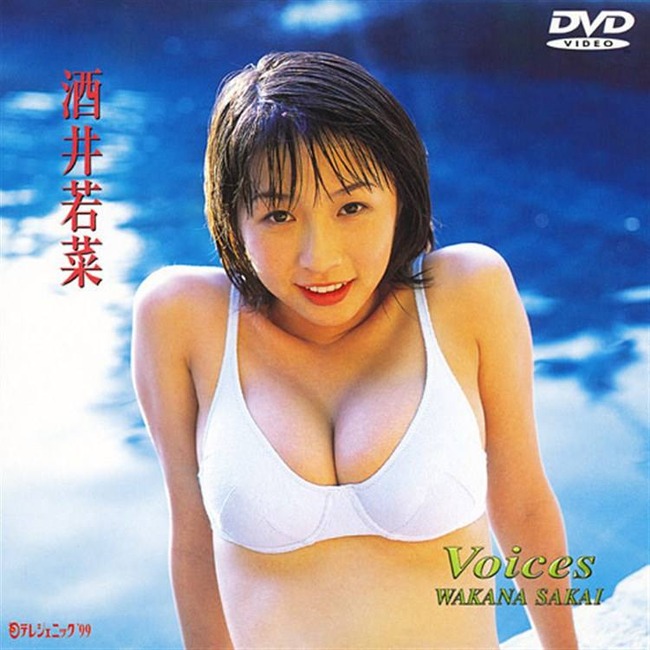 酒井若菜のおっぱいにぶっかけたくなるエロ画像 16