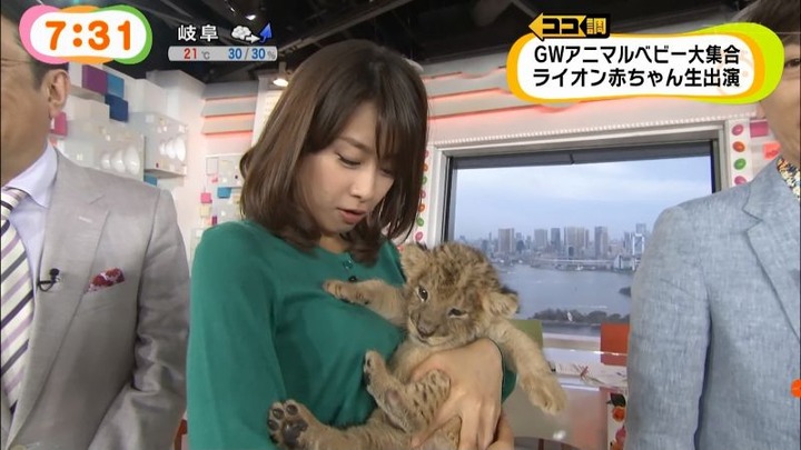 めざましテレビでカトパンの着衣おっぱいがエロい画像30枚 21