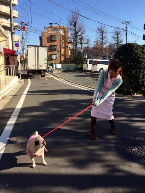 動物病院の看護師さんになった成瀬心美さんが可愛い 4