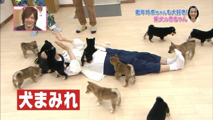 能年玲奈が柴犬の赤ちゃんにペロペロされてるエロ画像　バター犬 9