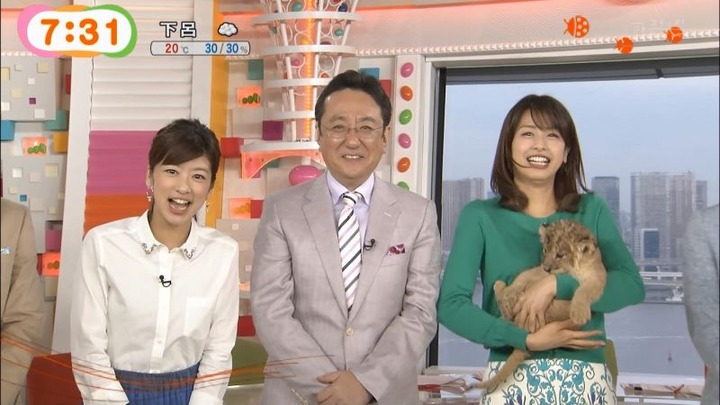 めざましテレビでカトパンの着衣おっぱいがエロい画像30枚 9