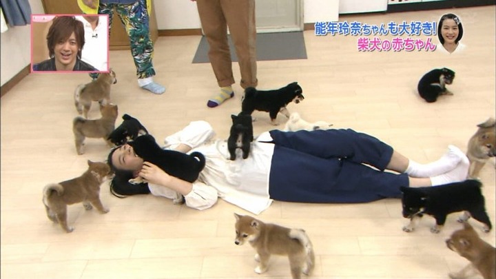能年玲奈が柴犬の赤ちゃんにペロペロされてるエロ画像　バター犬 7