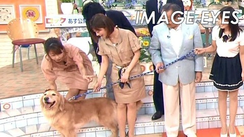 【女子アナエロ画像】カトパンが出演してたら巨乳胸チラチェックする男急増中ｗｗｗｗｗ 29