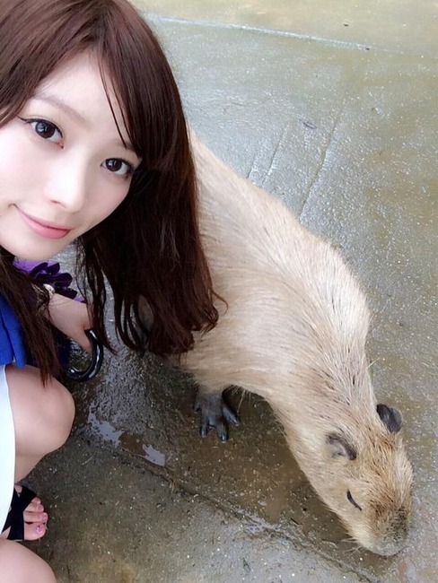 【エロ画像】