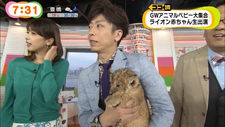 めざましテレビでカトパンの着衣おっぱいがエロい画像30枚 17