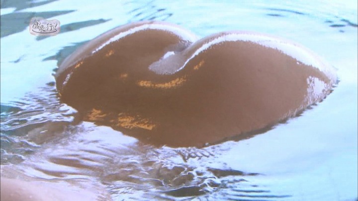 温泉に行こう！で全裸で入浴してるお姉さんがエロいｗｗｗ 7