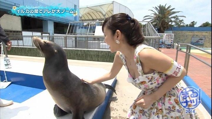 まるナツ！で杉原杏璃の胸の谷間が気になって仕方ない 6