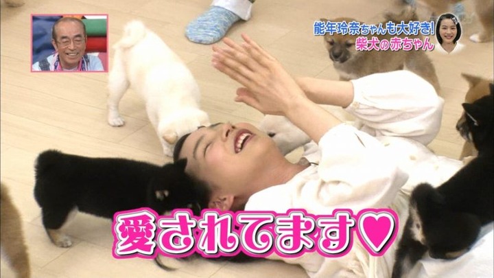 能年玲奈が柴犬の赤ちゃんにペロペロされてるエロ画像　バター犬 22