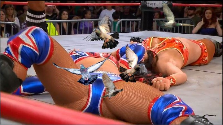外国の女子プロレスラーのスタイルがエロい画像 12