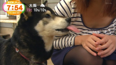 【新鮮胸チラ】TVで見る素人さんの胸チラって妙にエロくね？ｗｗｗｗｗ（エロキャプ画像あり） 23