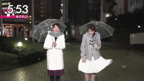 【エロ画像】女子アナで抜いた事あるやつｗｗｗ 13
