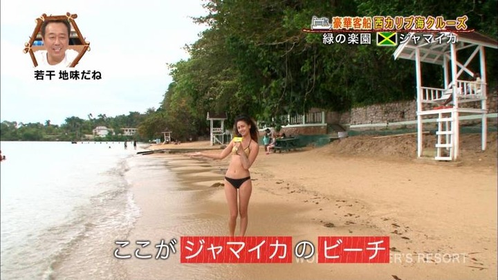 外国人のリポーターのケツがエロい画像 8