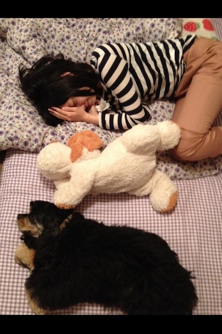 【エロgif画像100枚】ぱるるってお乳は無駄にあるからムカつく　AKB48 63