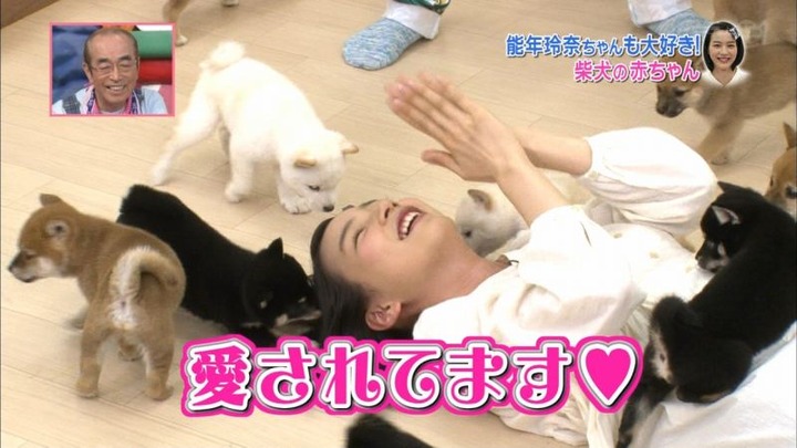 能年玲奈が柴犬の赤ちゃんにペロペロされてるエロ画像　バター犬 21